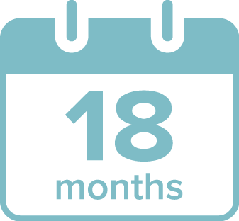 18 months calendar icon
